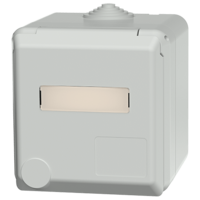 Cepex wall mounted receptacle SCHUKO®, grey